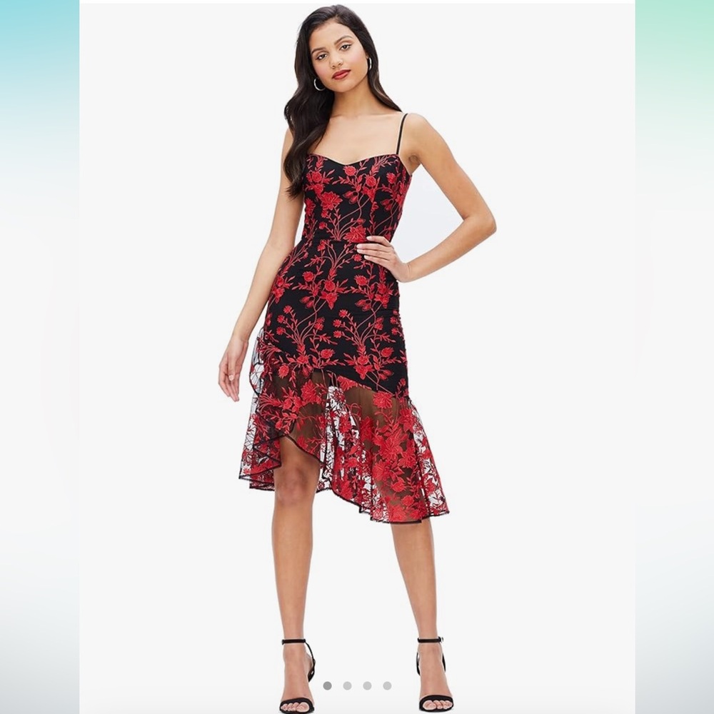 Dress the population Cantrelle Dress